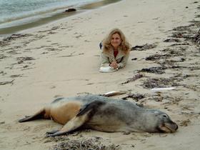 2007-09-14 a wild animal, with a sea lion - photographer unknown.jpg
